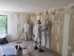 Biohazard Mold Removal in Byron Center, MI